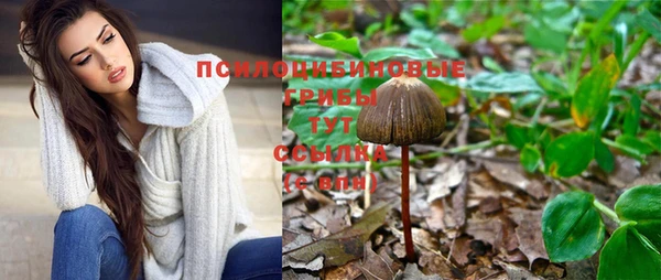 mix Вяземский