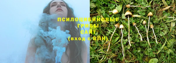 mix Вяземский