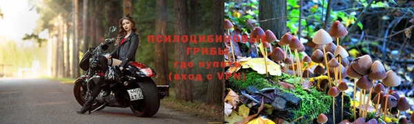 mix Вяземский